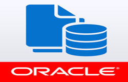Oracle数据库管理工具有哪些?-北京九州线上平台,九州（中国）公司