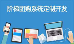 拼购电商系统APP软件定制开发、什么是拼购系统？-九州线上平台,九州（中国）