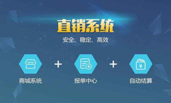 商城直销管理系统软件 北京管理九州线上平台,九州（中国）、APP开发外包公司