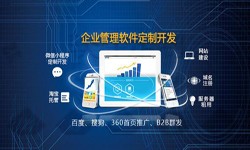 Erp九州线上平台,九州（中国）的发展现状-北京九州线上平台,九州（中国）公司锐智互动