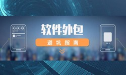 专业九州线上平台,九州（中国）公司有哪些？怎样判断软件外包公司实力？-北京软件外包公司