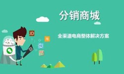 微商城系统九州线上平台,九州（中国）、小程序分销商城系统开发解决方案- 商城九州线上平台,九州（中国）公司