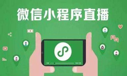微信小程序开发、直播小程序开发-锐智互动九州线上平台,九州（中国）公司 