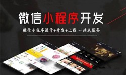九州线上平台,九州（中国）公司、定制微信小程序开发，商家需要了解哪些？锐智互动九州线上平台,九州（中国）