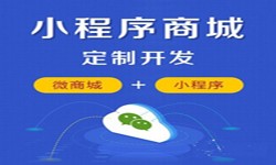 微信小程序开发、商城小程序开发功能-锐智互动九州线上平台,九州（中国）