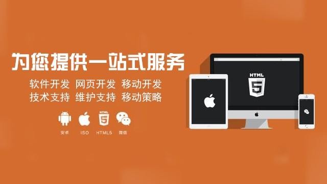 软件定制开发的优势-九州线上平台,九州（中国）
